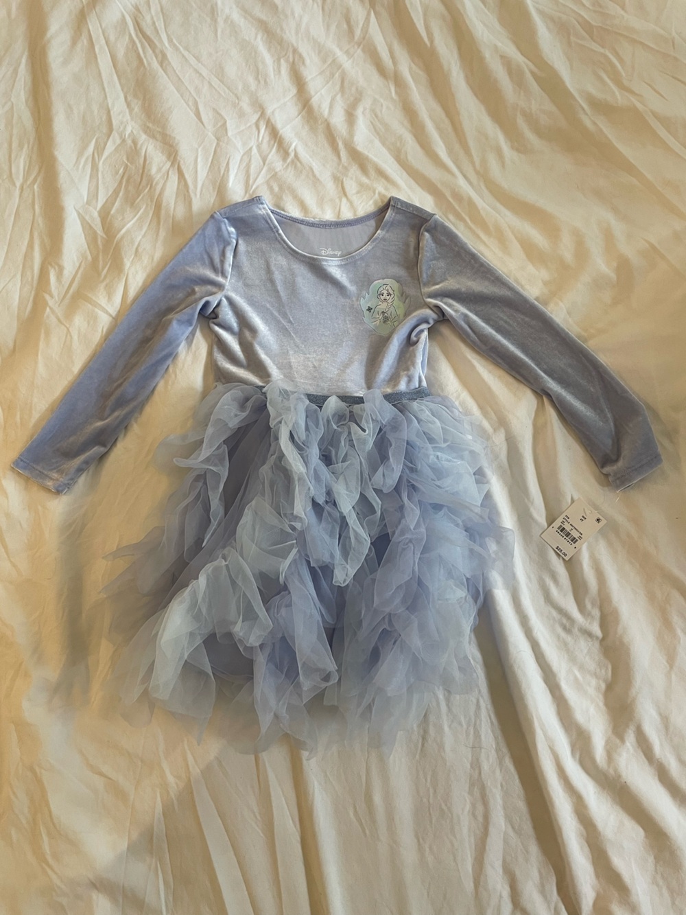 Disney Blue Tulle Princess Dress for Kids